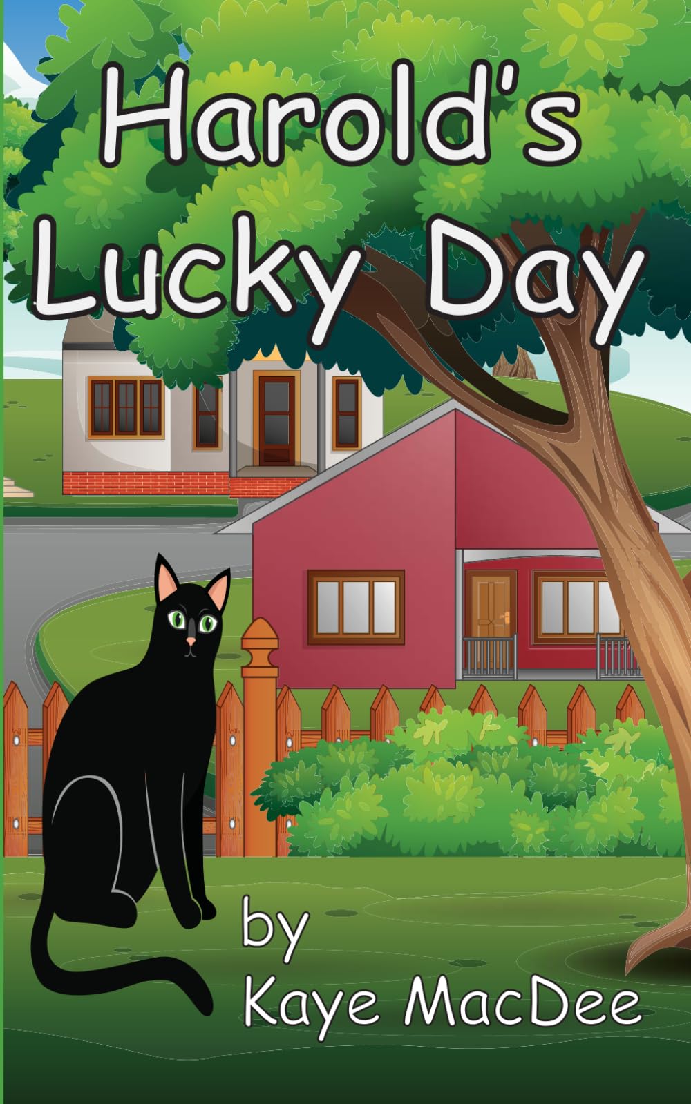 Harold's Lucky Day