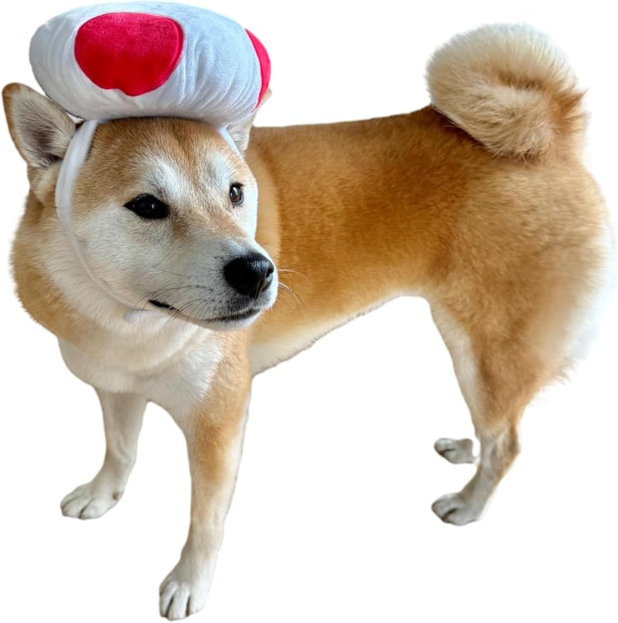 Gorro de Champiñón para Perro ComfyCamper - Disfraz Halloween Navidad miniatura 2