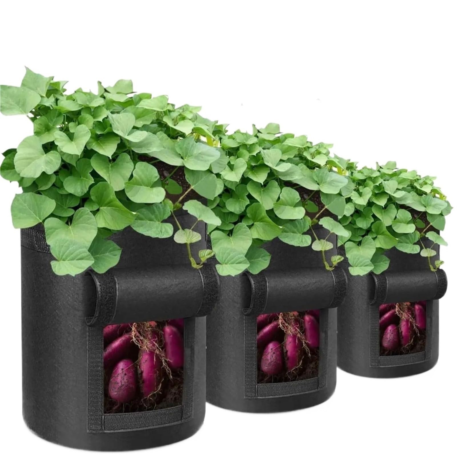 Sac de Culture Plantes 3 pièces, Sacs en Tissu Non tissé à aération, légumes Jardin poignées