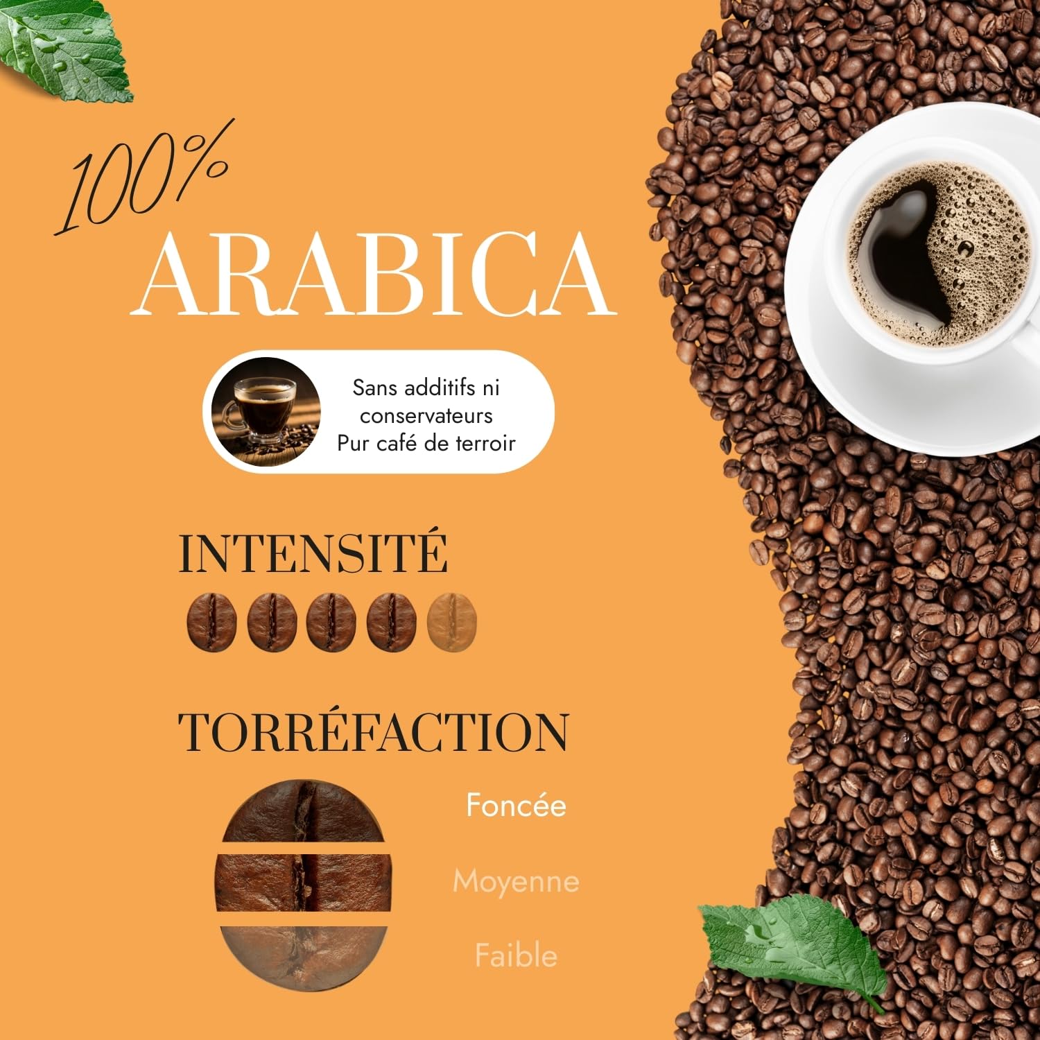 Café Bonnac – Lot de 5 × 1 kg | Café En Grain Presto Blend Pietro | 100% Arabica Torréfié À L’Italienne | Goût Intense Et Velouté | Créma Abondante | Torréfaction Artisanale