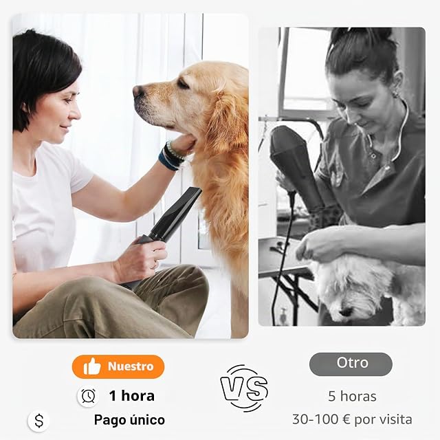 Foto 5 de 7 de TRIGRAND Secador de Pelo de Perro Blaster 3000 W, secador de Pelo para Mascotas