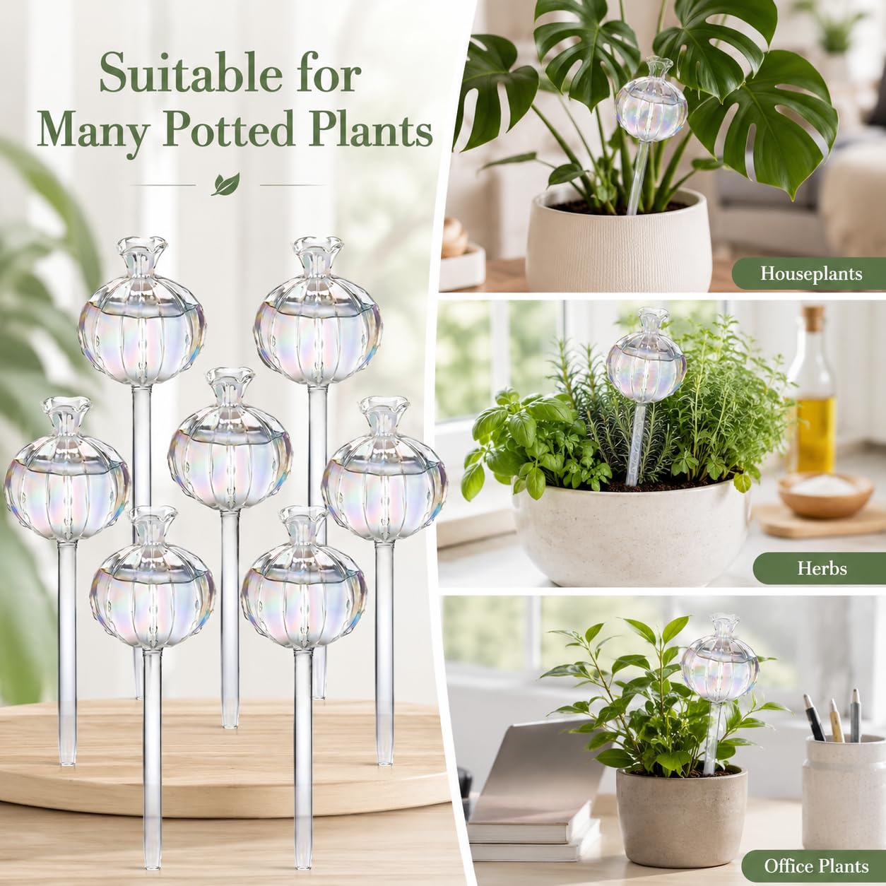 Lot de 6 globes d'arrosage en verre en forme de cactus - Piquets d'arrosage automatique en borosilicate - Ampoules d'irrigation automatique pour plantes en pot d'intérieur et d'extérieur - Outil