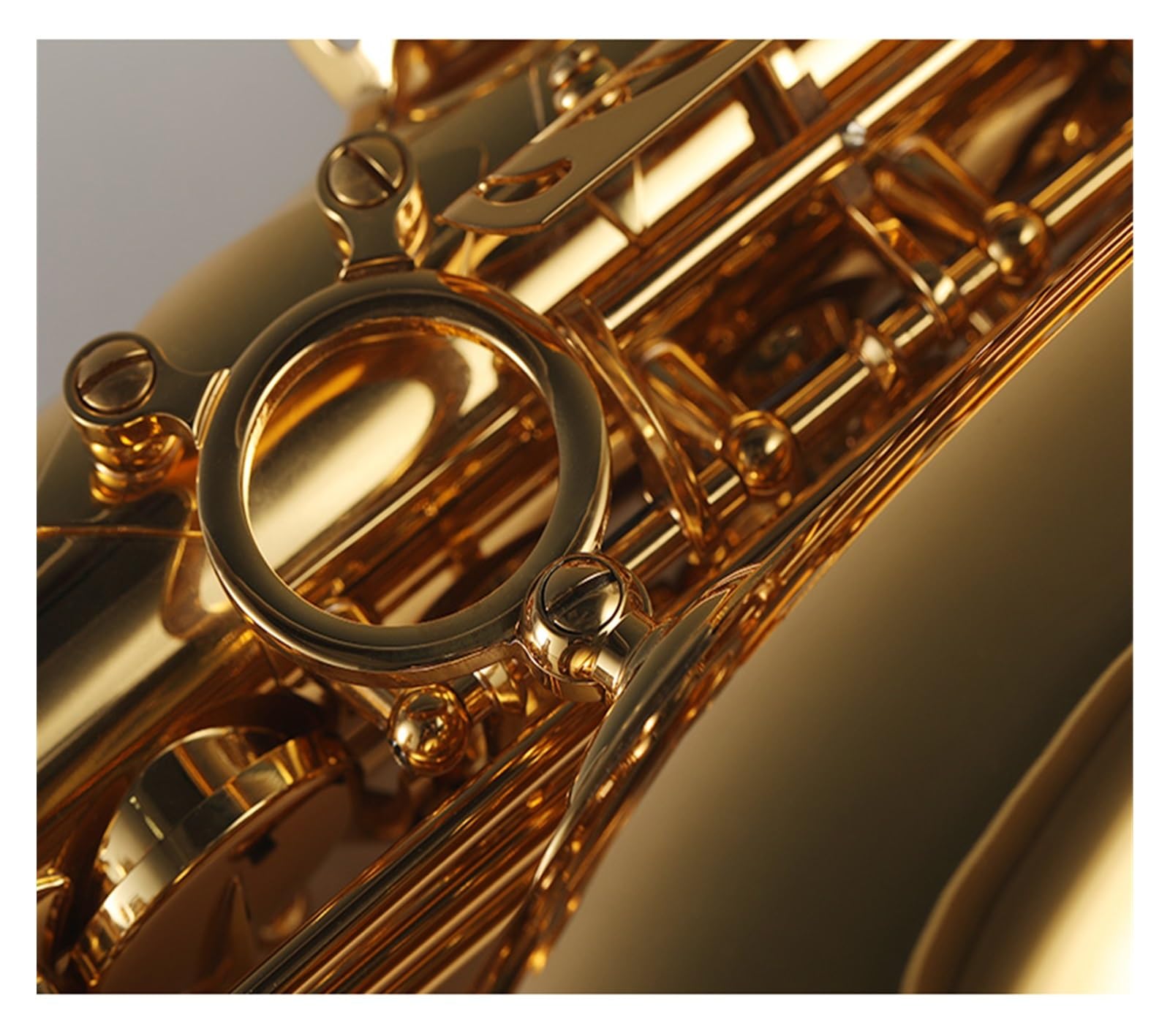 Amazon.co.jp: サックス サックス アルト E フラット サックス楽器