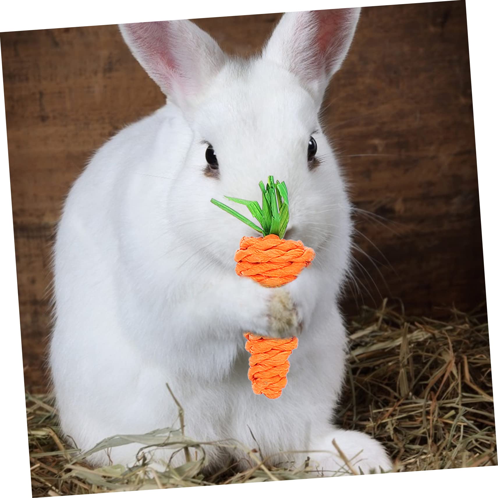 Housoutil 5sets Giocattoli Per Piccoli Animali Di Giochi Per Cani e Conigli Giocattolo Da Masticare Naturale Legno Per Criceti e Conigli Stimola Gioco e Salute