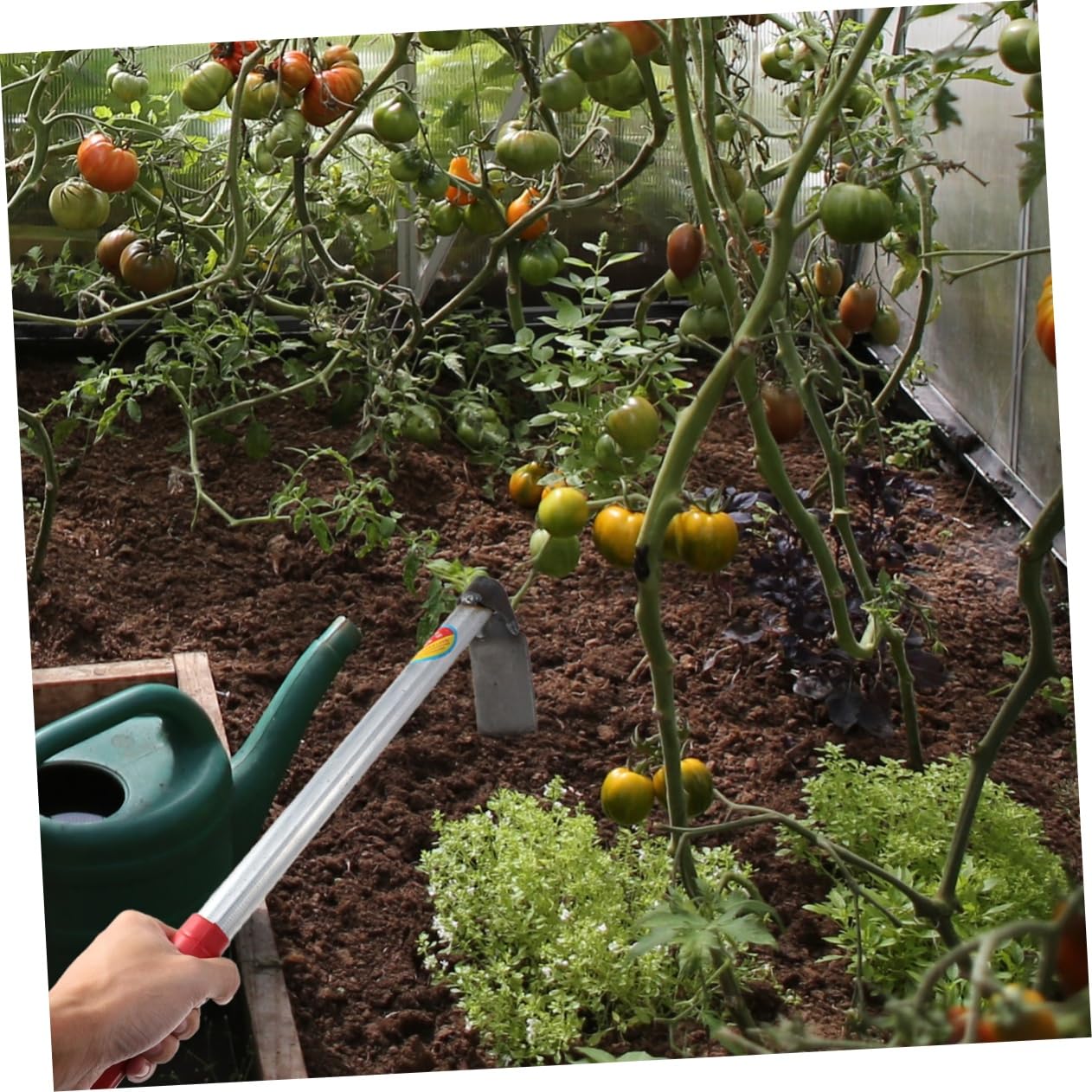 HANABASS Attrezzo da Giardino per Orto e Casa in Acciaio Inossidabile, Manico Spesso, Antiruggine, per Lavorare e Diserbare Terreno | Bonsai e Terreno, Resistente alla Deformazione, Pratico per Allentare il Suolo