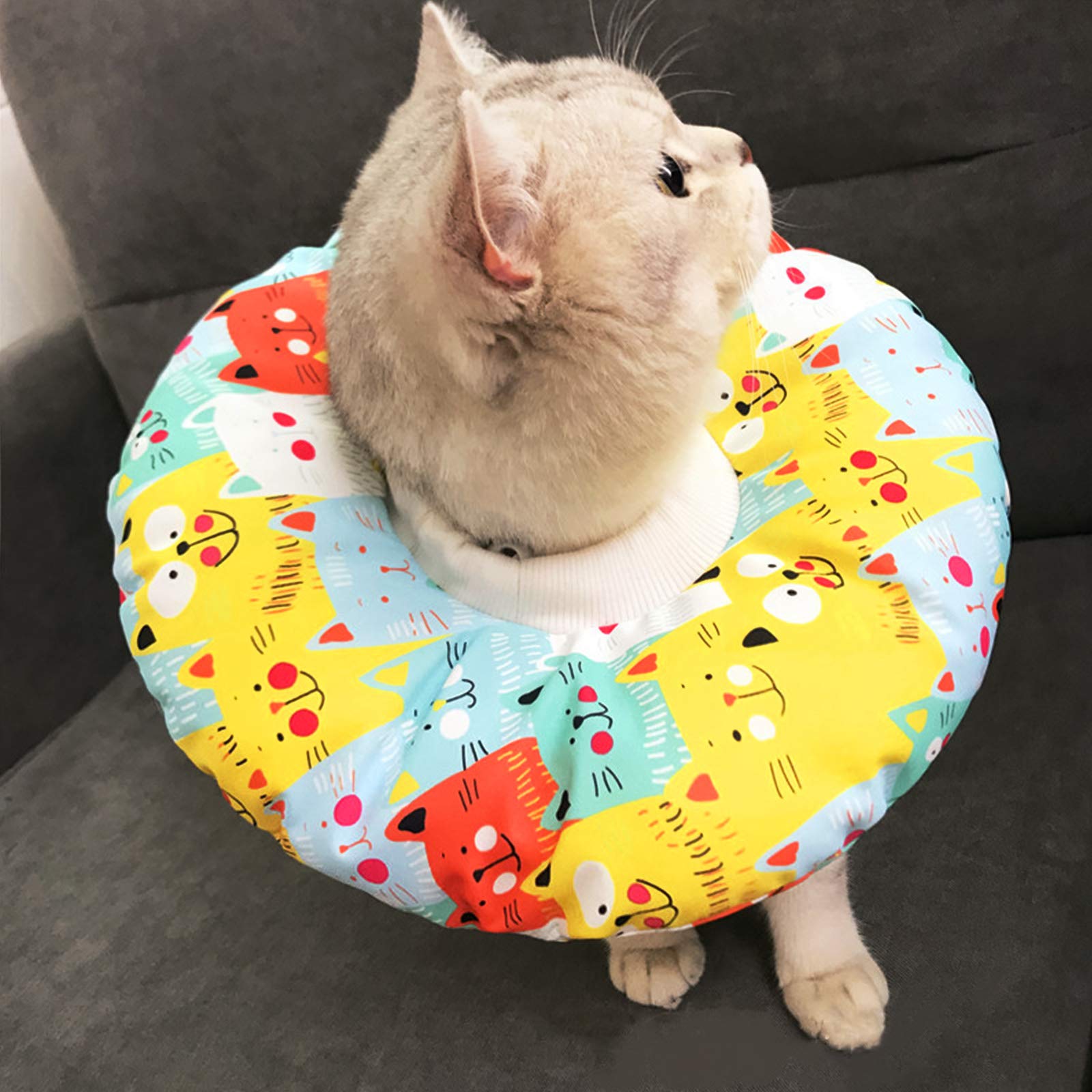 Collare Protettivo Gatto, Elisabettiano Collare Protettivo Cono, Collare Morbido Regolabile per Animali Domestici, Collare per Recupero Gatto Dopo per chirurgia per Cani e Gatti (S)
