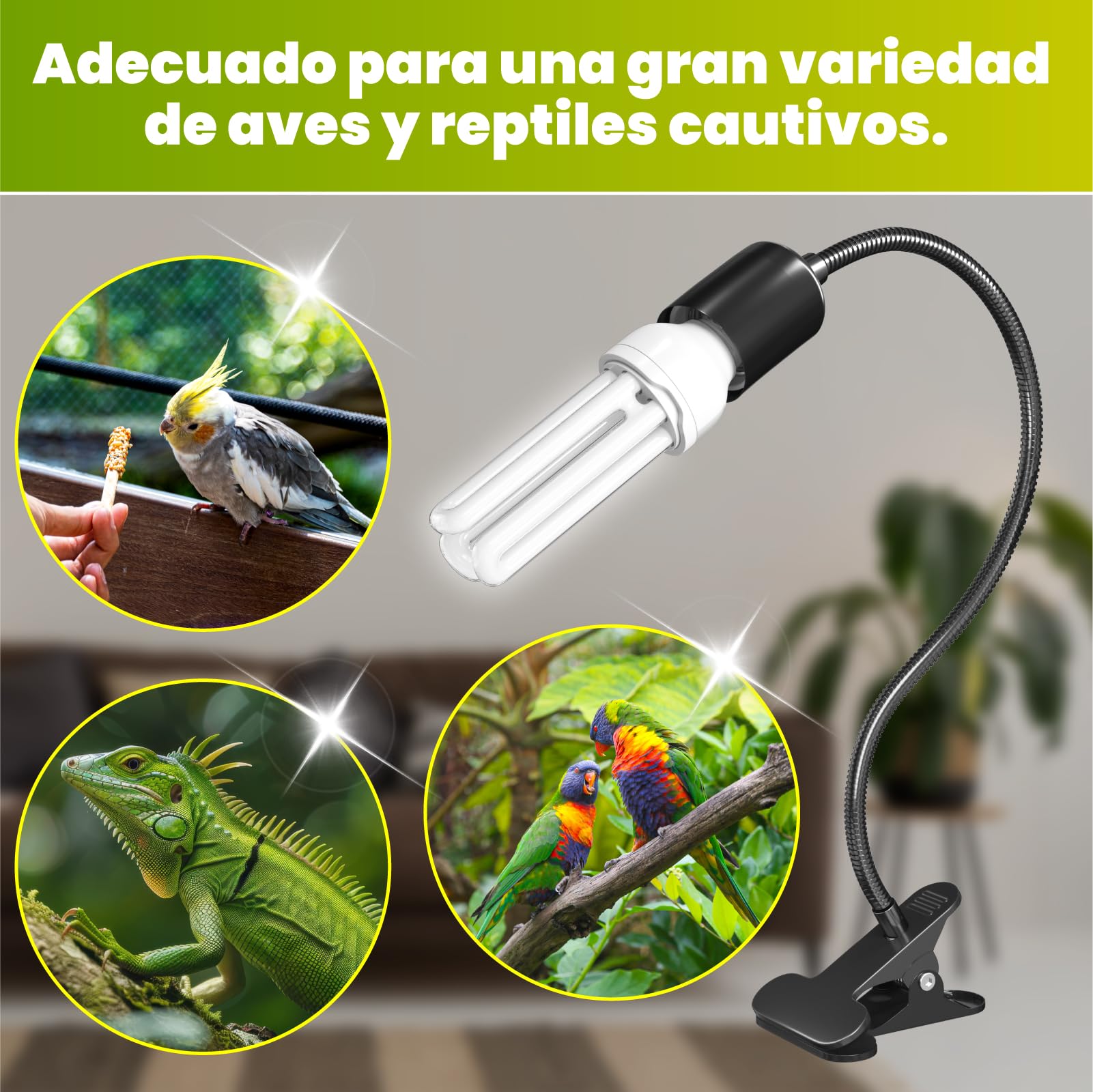 GlowUp UVB 2.4 Lámpara para Pájaros Juego Completo, Lámpara de Clip con Lámparas Fluorescente Compacta UVB 2.4 para Iluminación de Pájaros