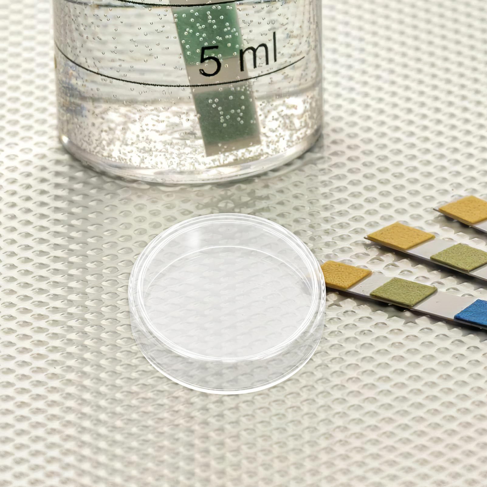 OUNONA 10stücke Labor-petrischalen aus Glas Kulturen Mikrobiologische Ausrüstung Deckel Inklusive Geeignet für Wissenschaftsprojekte Experimente und Beimpfung mit Nährmedium