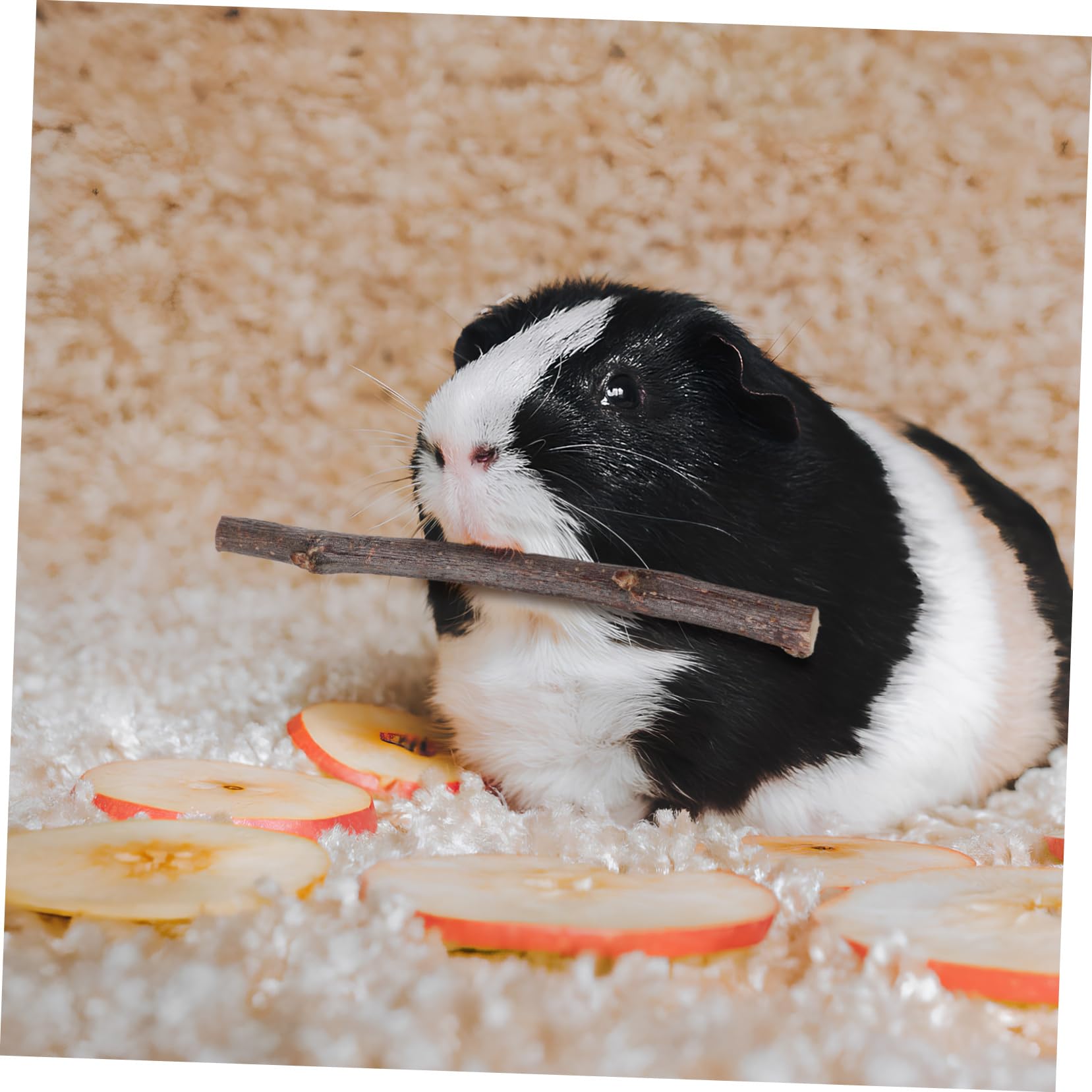 Toddmomy Giocattoli da Masticare per Conigli Bastoncini Naturali in Legno per Denti Piccoli Animali 55 Pezzi Snack Legnosi per Criceti Cincillà e Porcellini D’india