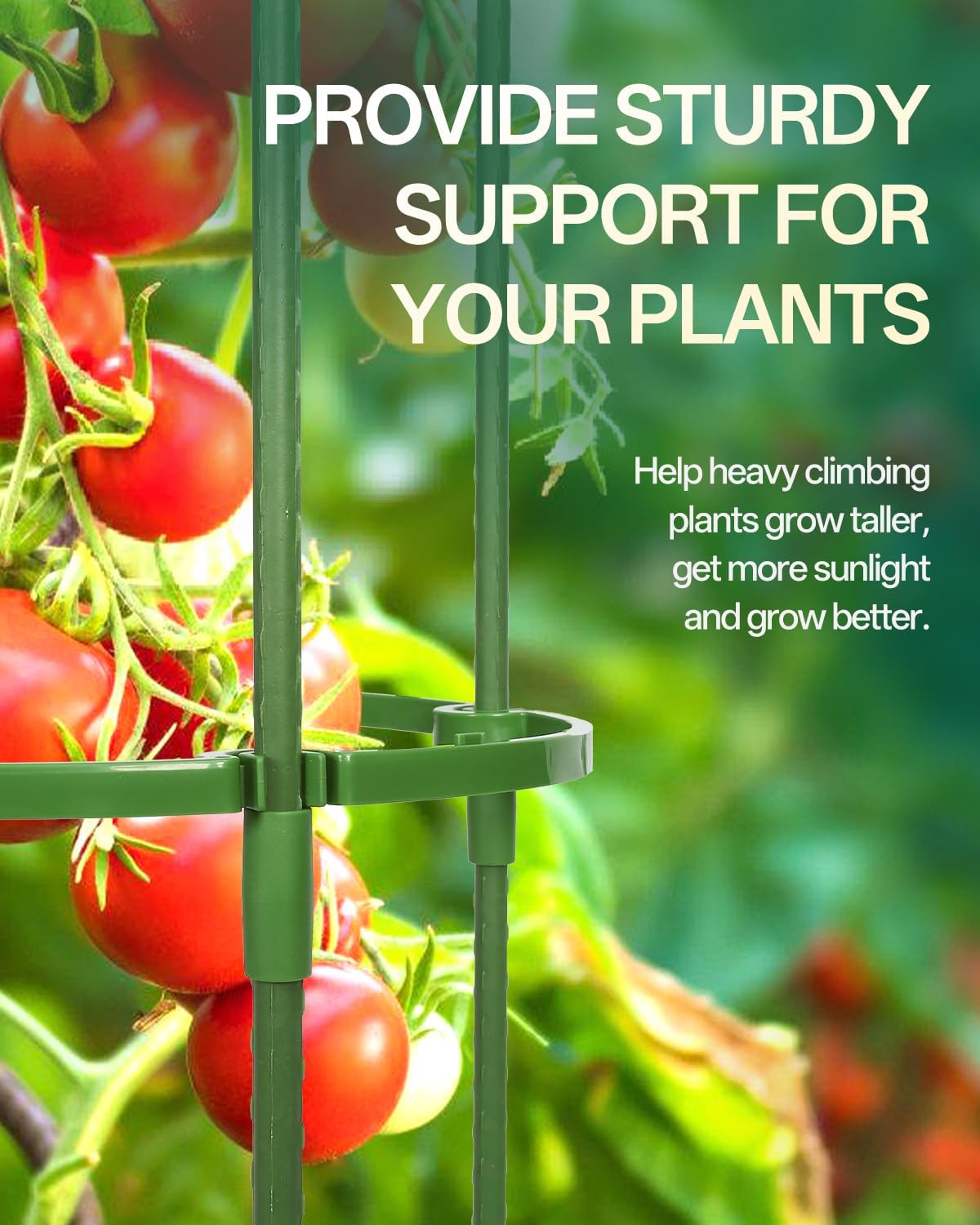 Breeze Touch Tomato Support Cages 3 Pack, Adjustable Tomato Trellis Up to 59 Inch for Garden & Pots, Small Plant Cages, Plant Support for Climbing Vegetables, Flowers, Beans, Cucumber, Peony