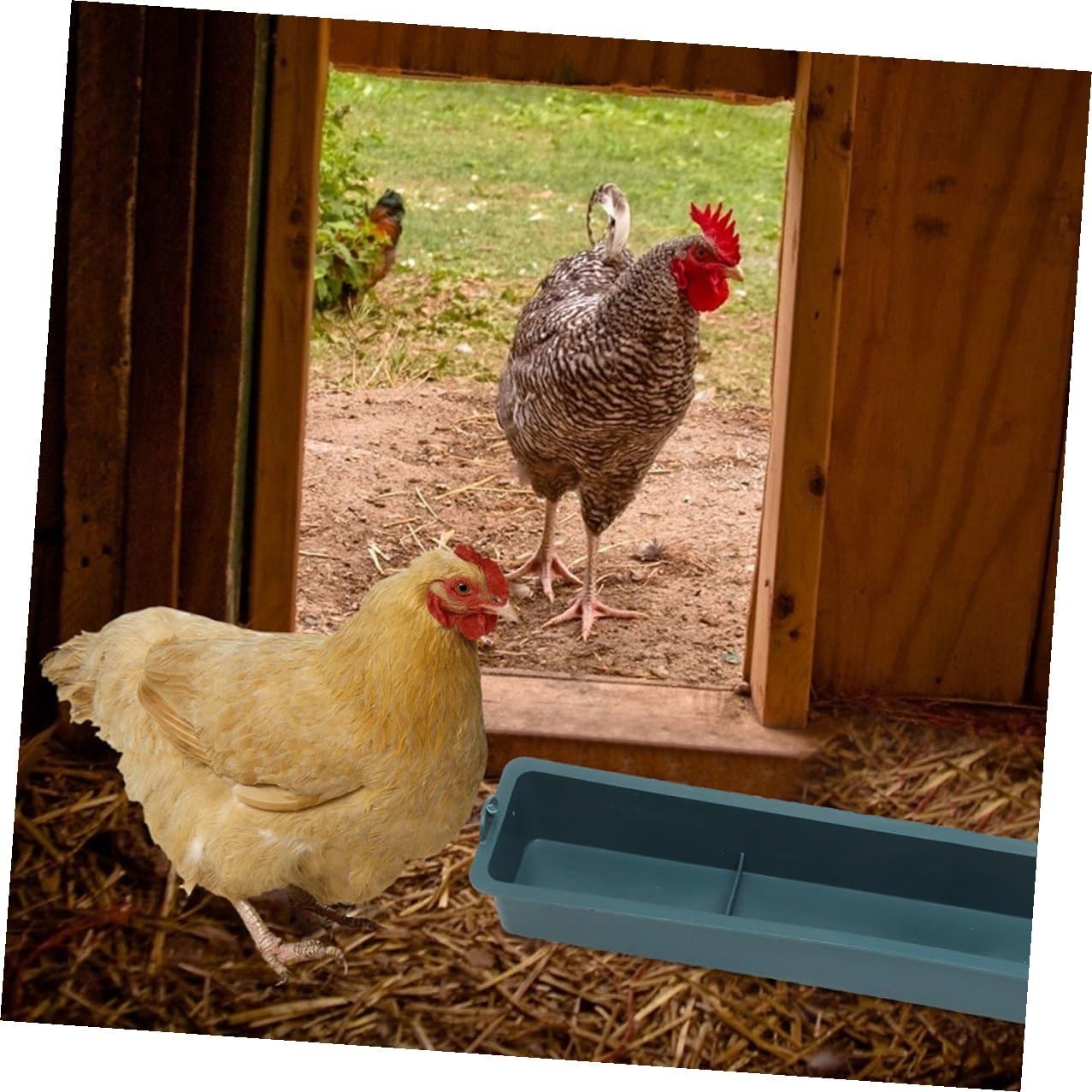 2pcs Hanging Chicken Feeder Trough with 3-Compartment Thickened Plastic Anti-Spill Food Dispenser for Poultry, Ducks, Parrots Cage Feeding Supplies