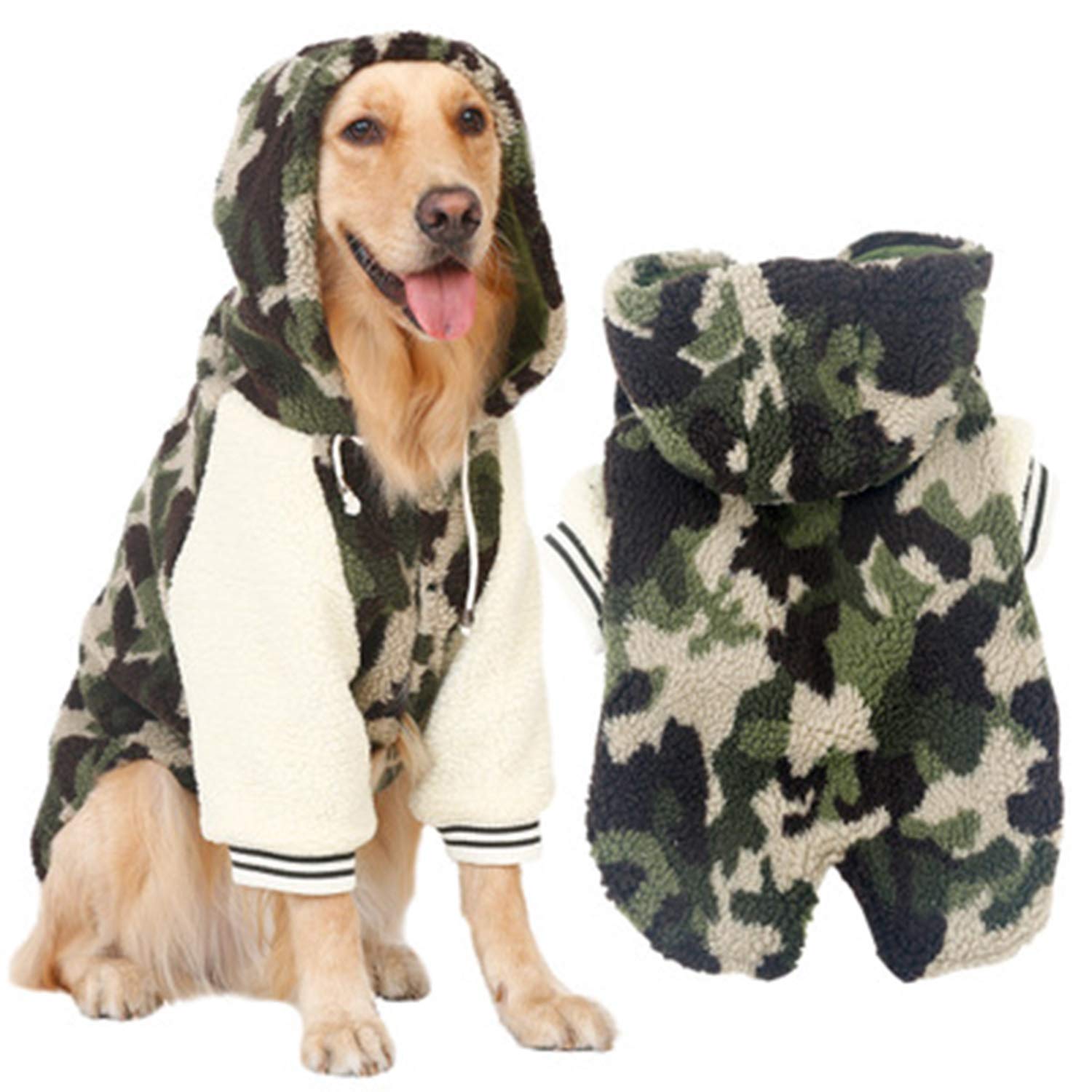 samoyed clothes