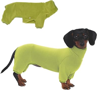 Dachshund Dog Turtleneck Warm Sweater, Winter Clothes, Suitable for Dachshunds Green, Small