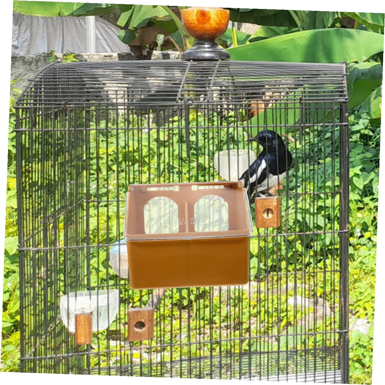 DECHOUS 3 pièces Mangeoire Oiseaux Suspendue avec Compartiments Doubles Distributeur Nourriture pour Perruches et Calopsittes Facile à Installer Cage Design Compartimenté Anti-conflit
