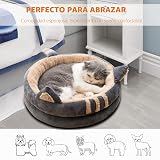 Ver la foto 2