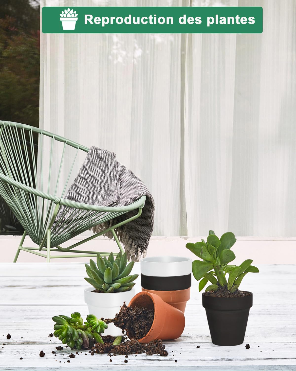 vensovo Lot de 6 Petits Pots de Fleurs en Terre Cuite avec Soucoupe pour Plantes d'intérieur et d'extérieur Blanc 10,16 cm