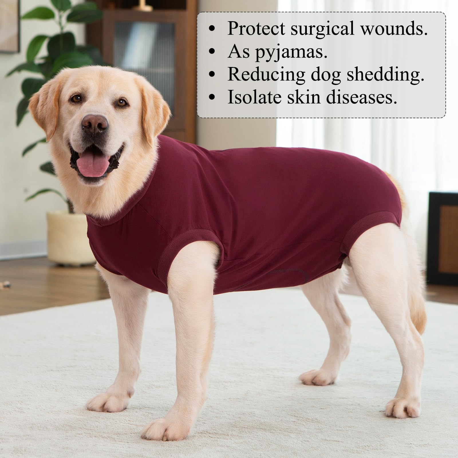 View 7