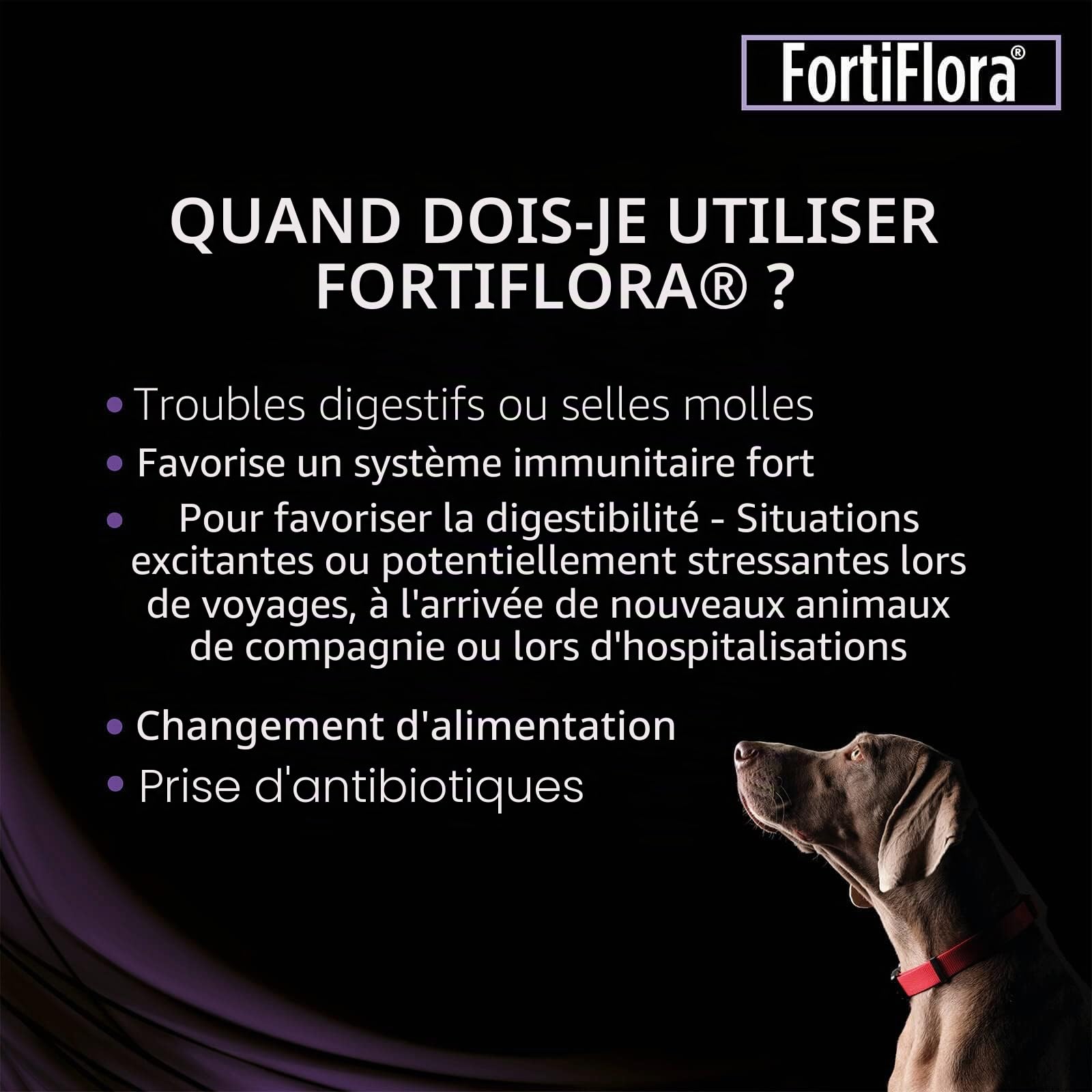 Pro Plan PURINA FORTI Flora | Pack Double | 2 x 30 x 1 g | Complément Alimentaire pour Chiens | avec probiotiques