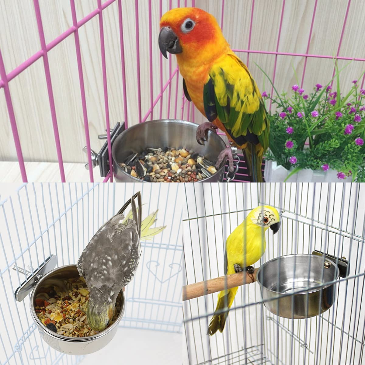 4 Stück Edelstahl Vogelnapf Futternapf Vogel Fütterung Näpfe Wasser Futternapf Papageien Fütterungsbecher Wasser Futterschale für Vogel papageien