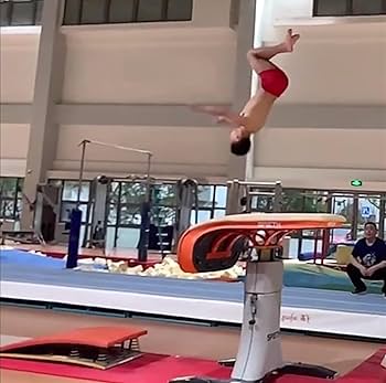 71PjTA6O1nL._AC_UF350,