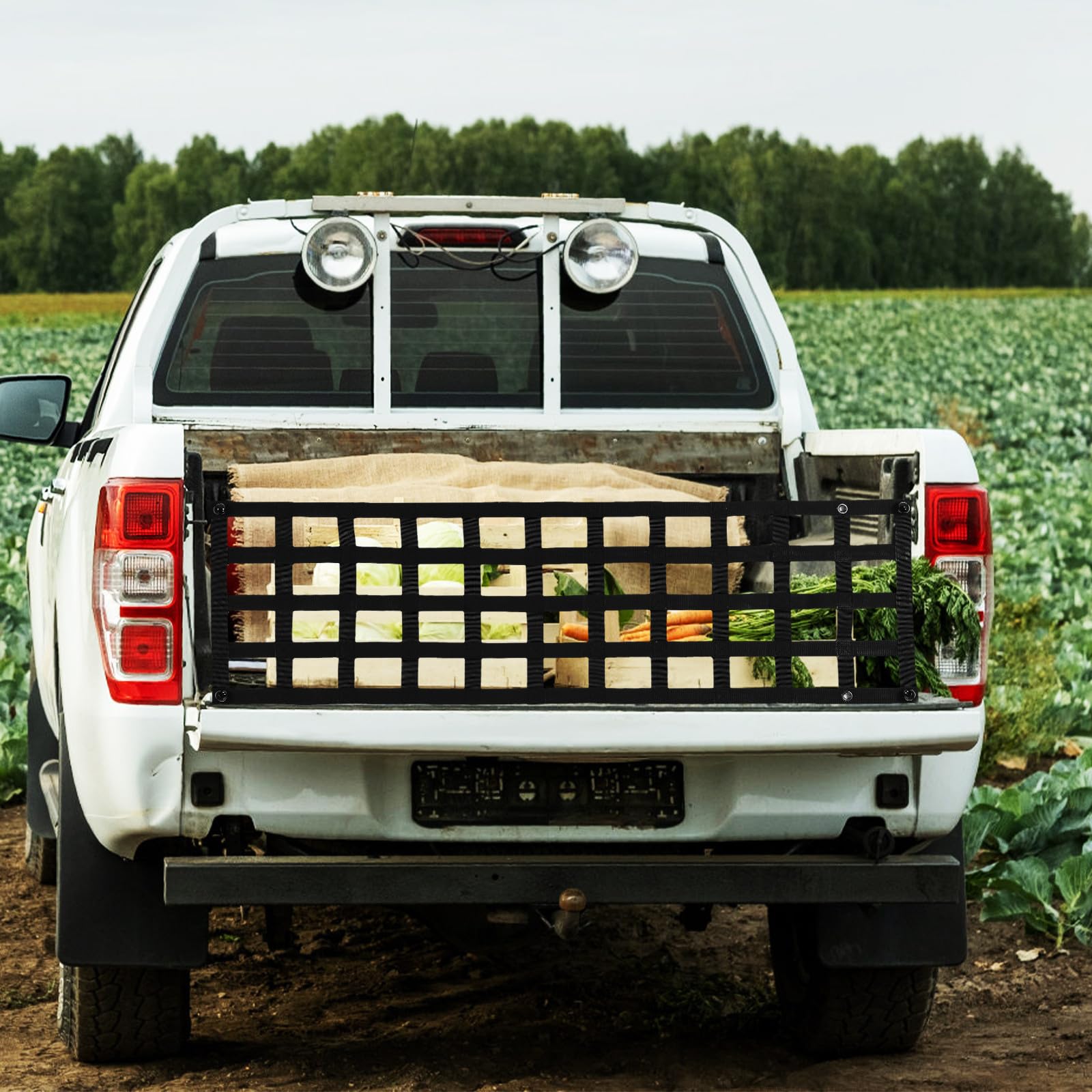 Ladungsnetz für Pickup Truck aus Polyester mit Karabiner Multifunktionales Kofferraumnetz für Möbel und Kajaks Einfache Montage für LKW und Anhänger