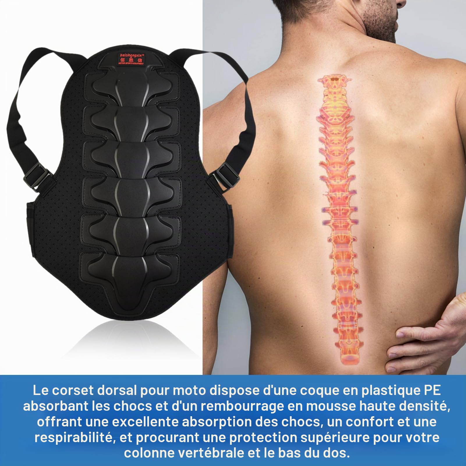 Protection Dorsale de Moto pour Sports d'équitation avec Design Anti-Choc et Protection de la Taille réglable, Protection Dorsale pour Moto/Ski/Snowboard pour Adulte