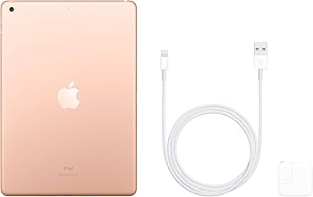 2019 Apple iPad (10.2-inch, WiFi, 32GB) - Gold (Renewed) : Amazon