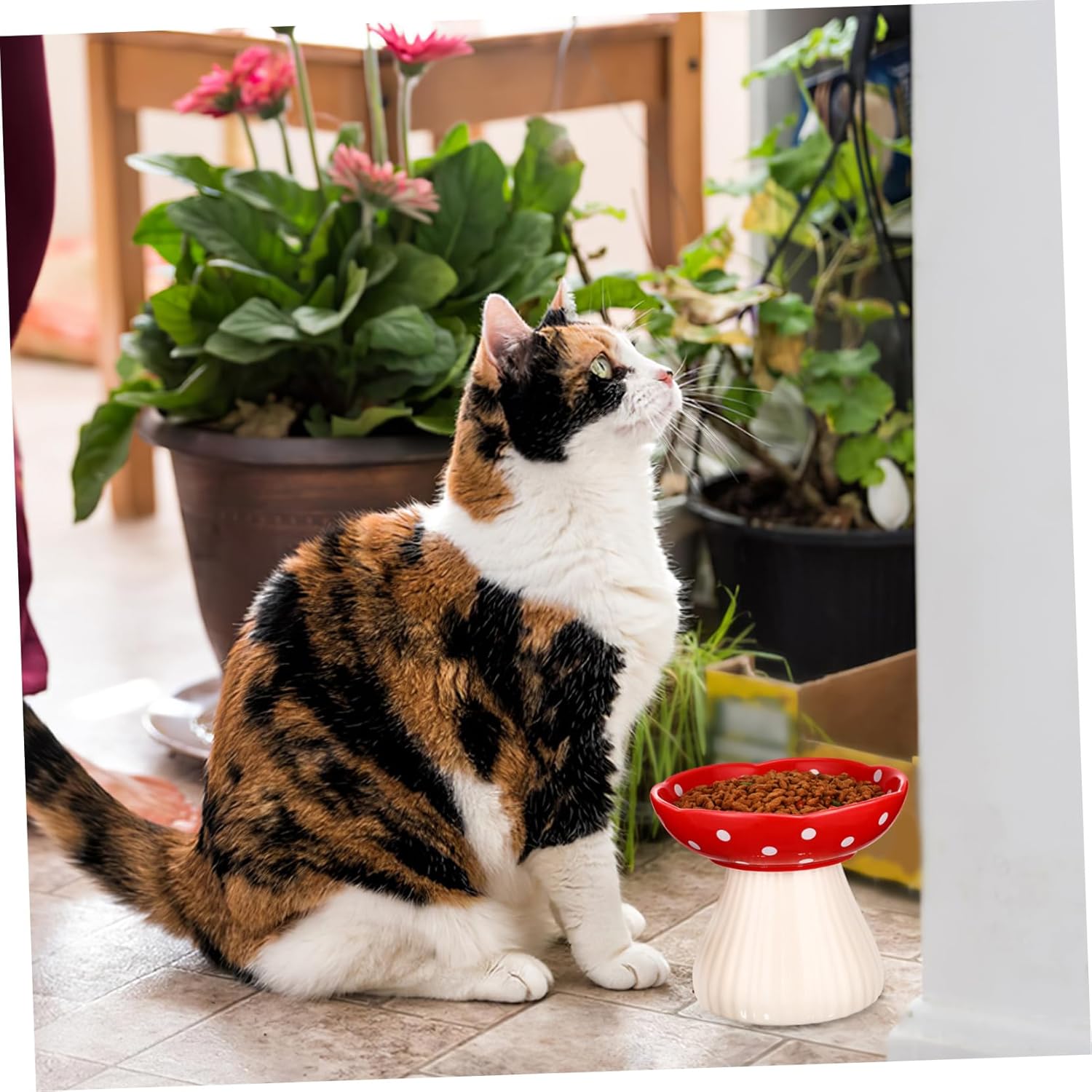 Ceramic Elevated Cat Feeding Bowl Shallow Wide Mushroom Design Whisker Friendly Indoor Pet Feeder Stable Non Slip Surface Easy to Clean for Cats and Dogs