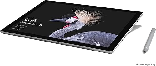 Vista 24 de Microsoft Surface Pro