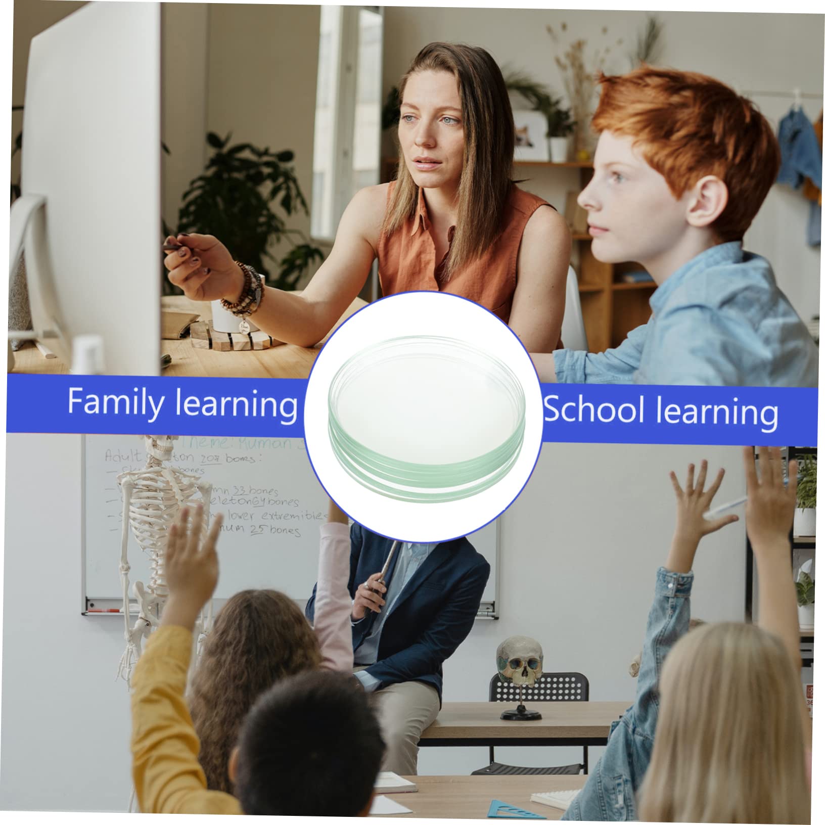 BELLIFFY 10 Pcs Watch Glass Flat Watch Laboratory Lab Dish Beaker Science Projects Dishes Lab Dishes School Watch Wrist Watches Glasses Clear Science Culture Square Watch Transparent