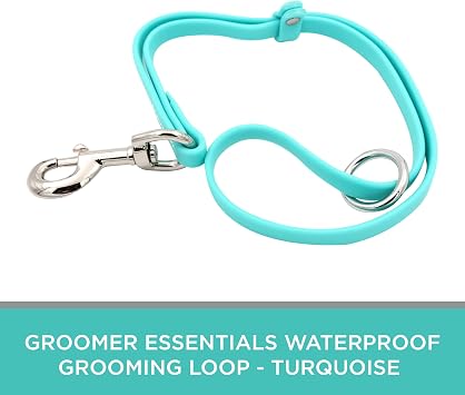 GROOMER ESSENTIALS Waterproof Grooming Loop - Turquoise