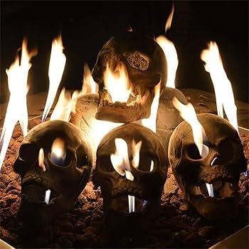 71PjhWTKLXL._AC_UF350,