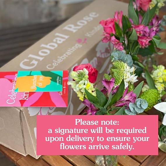 GlobalRose 30 Cream Alstroemeria Flowers Responsibly Sourced Peruvian Lilies Flowers Hand-Picked Flowers Fresh Bouquet for Graduation, Anniversary & Special Occasions (3 Bunches of 10 Stems