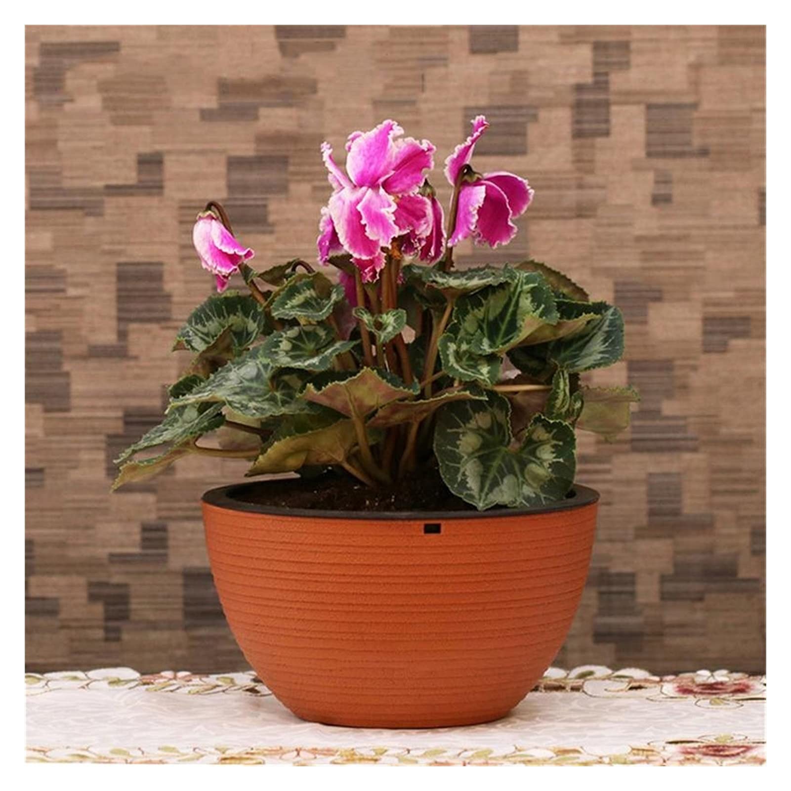 Jardiniere balcon Planteurs suspendues Pots de fleurs semi-circulaires Porte-plante Support mural Jardin mural Balcon Décoration Paniers à planter extérieur intérieur Pot suspendu plante interieur ( C