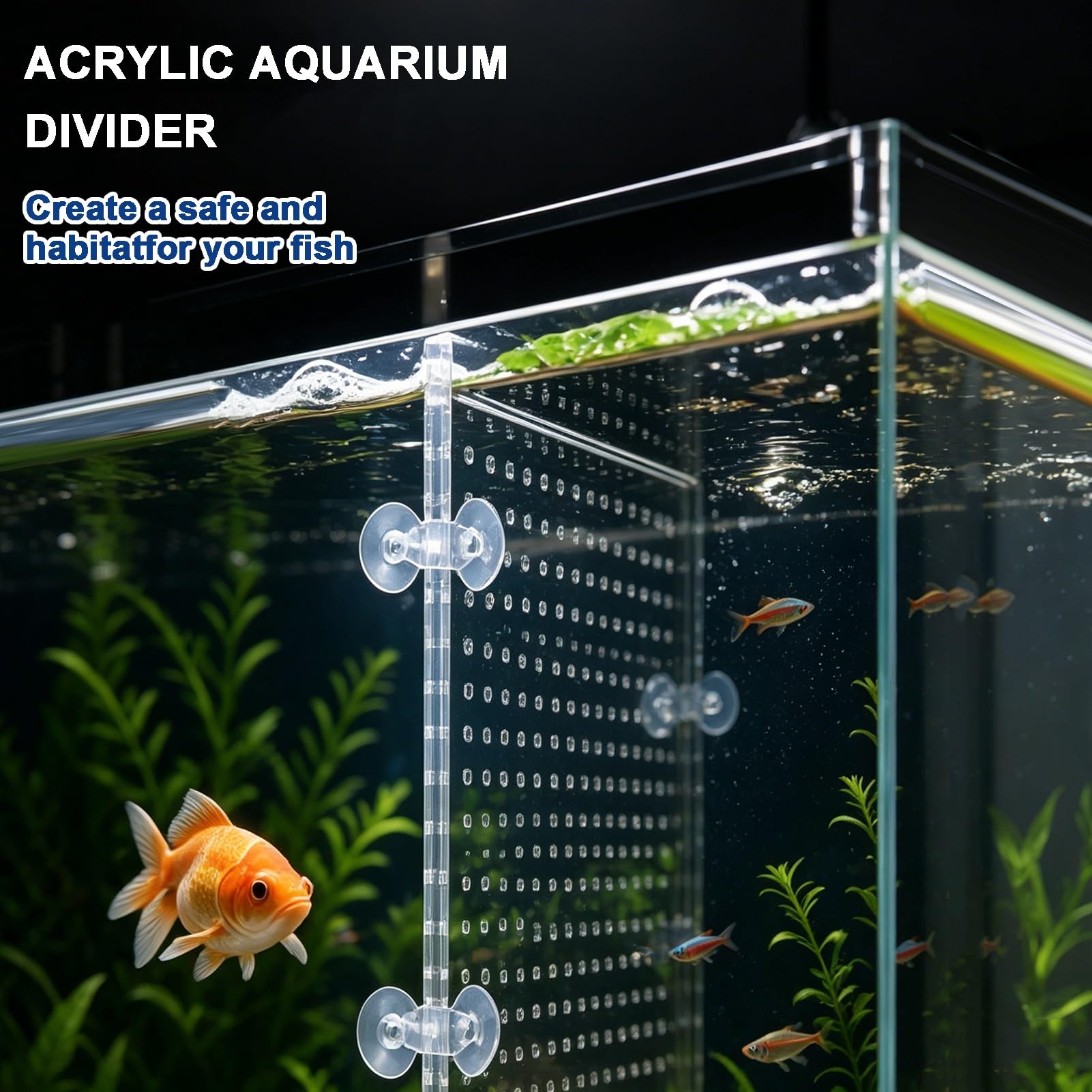 Séparateur D'Aquarium Acrylique Transparent avec Ventouses, Cloison 5mm pour Alevins Et Poissons Blessés(30x40cm)