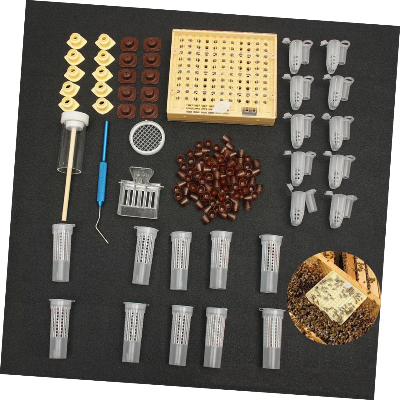 ibasenice Kit De Cría De Reinas Caja De Cría Queen Sistema De Herramientas De Apicultura