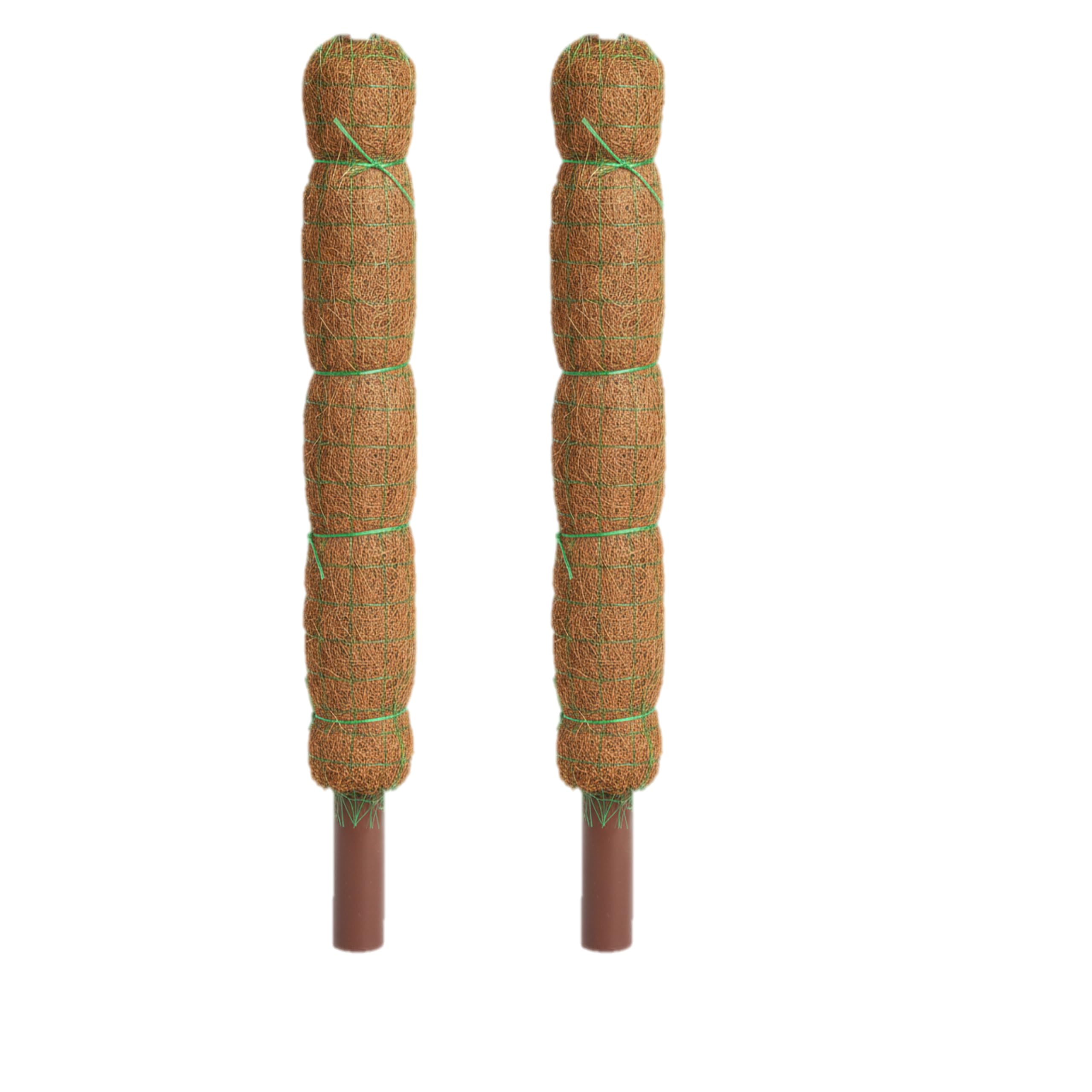Mr. Toywoods 3 ft Coir Pole | Natural Coco Pole Support for Climbing Indoor & Outdoor Plants | Strong Pole for Money Plant, Monstera, Pothos Growth (3 ft Pack of 2)-image-41