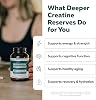 Creatine Reserve™ - Creatina monohidrato más GAA para soporte mental, muscular y energético - Suplemento de creatina de doble vía para mujeres y hombres - Vitaminas B activas y taurina, Non-GMO (suministro de 1 mes) 6