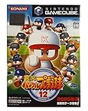 実況パワフルプロ野球12