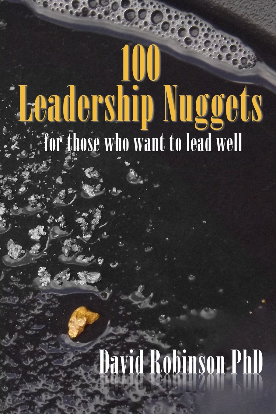 100 Leadership Nuggets: for those who want to lead well