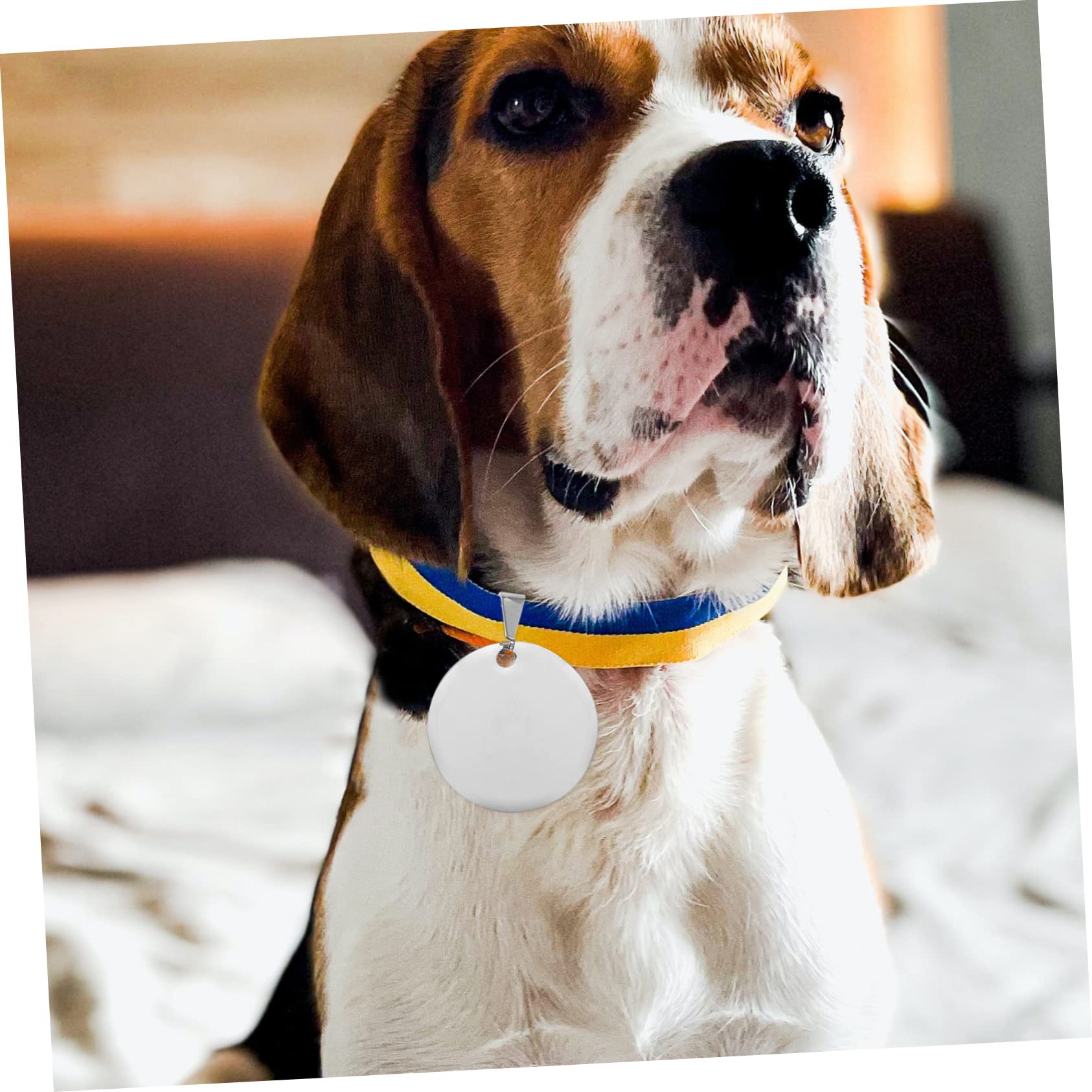POPETPOP 3 Set Etichetta Di Identità Animale Targhetta Personalizzata Medaglietta Cane Medaglietta Di Riconoscimento Ciondoli Vuoti A Cerchio Piatto Cani Medaglietta in Titanio 10 Pezzi * 3