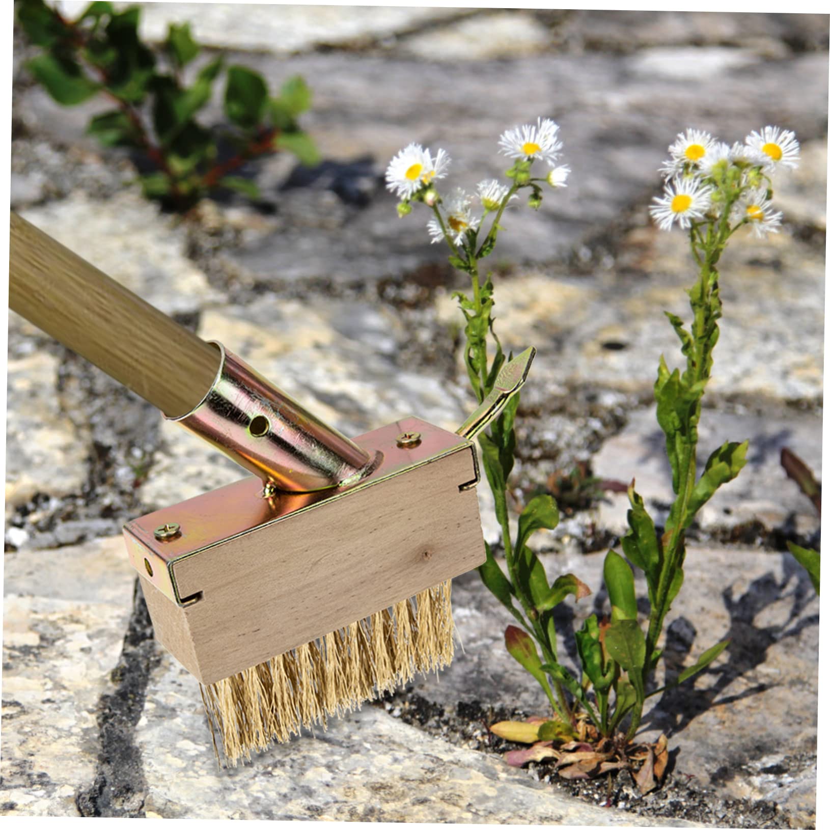 Toddmomy 5 Piezas Cepillo de Jardín para Eliminar Hierbas Cabezal de Repuesto de Inoxidable Herramienta de Jardinería para Limpiar Grietas y Patios Cepillo de Deshierbe Práctico