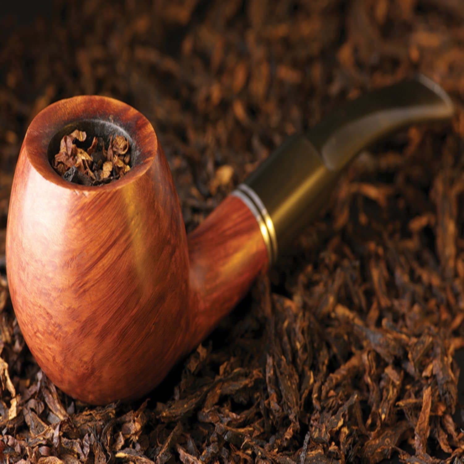 lucas pipe and tobacco Shisha.com