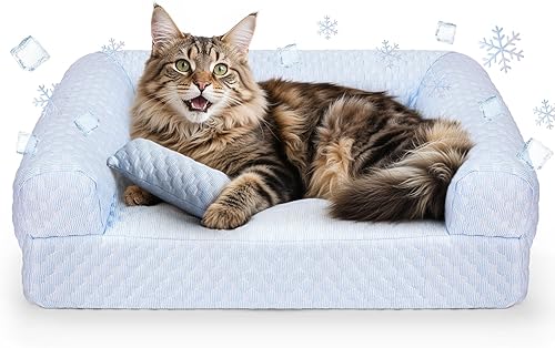 Cama para gatos, camas para gatos de interior, sofá cama refrescante de verano para mascotas, cama mediana lavable para cachorros y gatitos pequeños