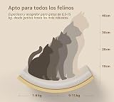 Ver la foto 6