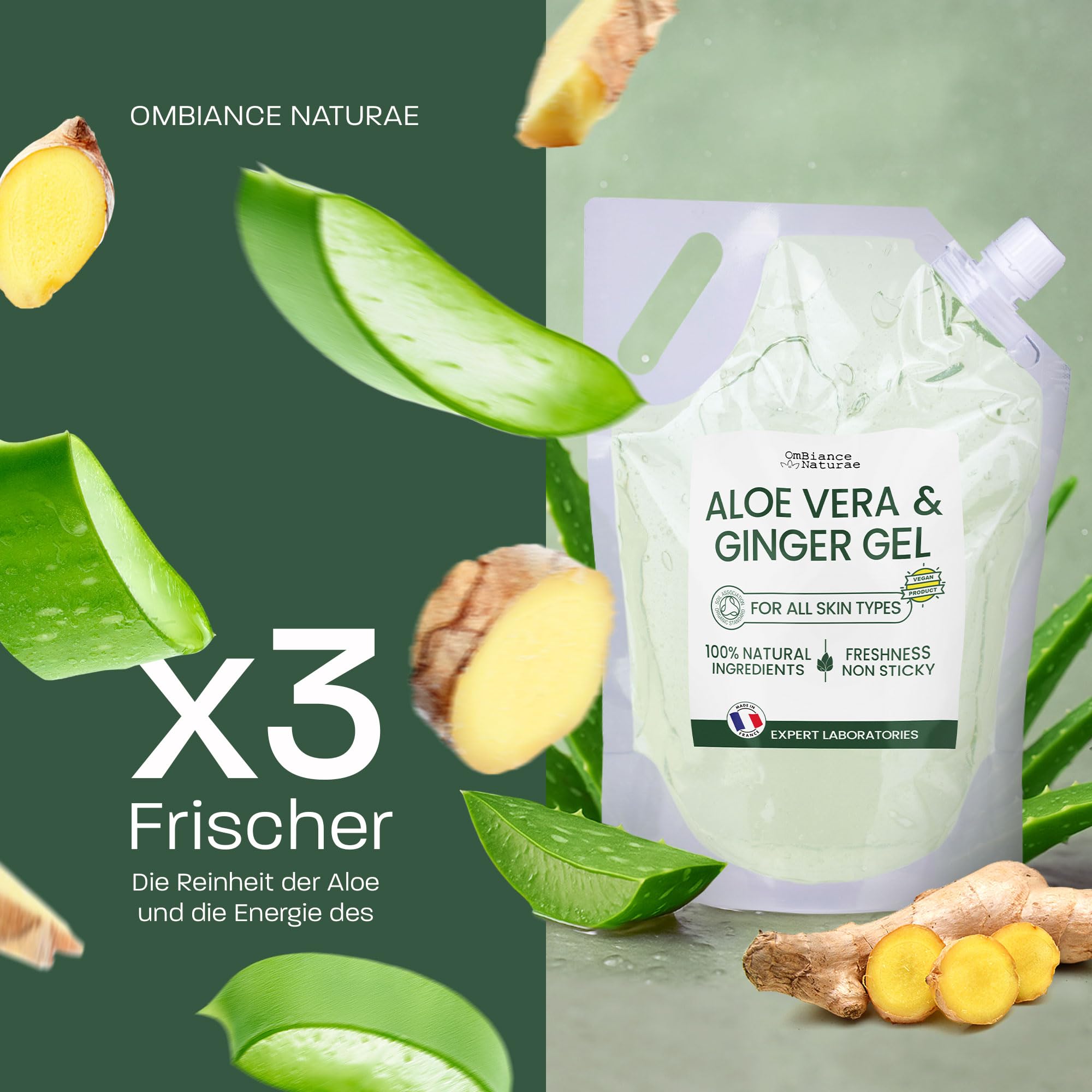 Aloe Vera & Ingwer Gel – Feuchtigkeitsspendend, Straffend & Erfrischend – Mit Frischblatt-Aloe aus biologischem Anbau in Spanien – Für Gesicht, Körper & Haare – After-Sun, Beine, Rasur (5000 ml)