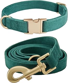 Hundehalsband und Leine Set Klein, Weiche Reizfreie Cord-Halsband-Leine Passende Combo für Den Täglichen Spaziergang, Grün