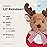 Bearington Baby Lil Reindeer Christmas, 5.5 Inch Christmas Reindeer Plush Stuffed Animal, Soft Baby Rattles and Plush Rings, for Ages 0-14