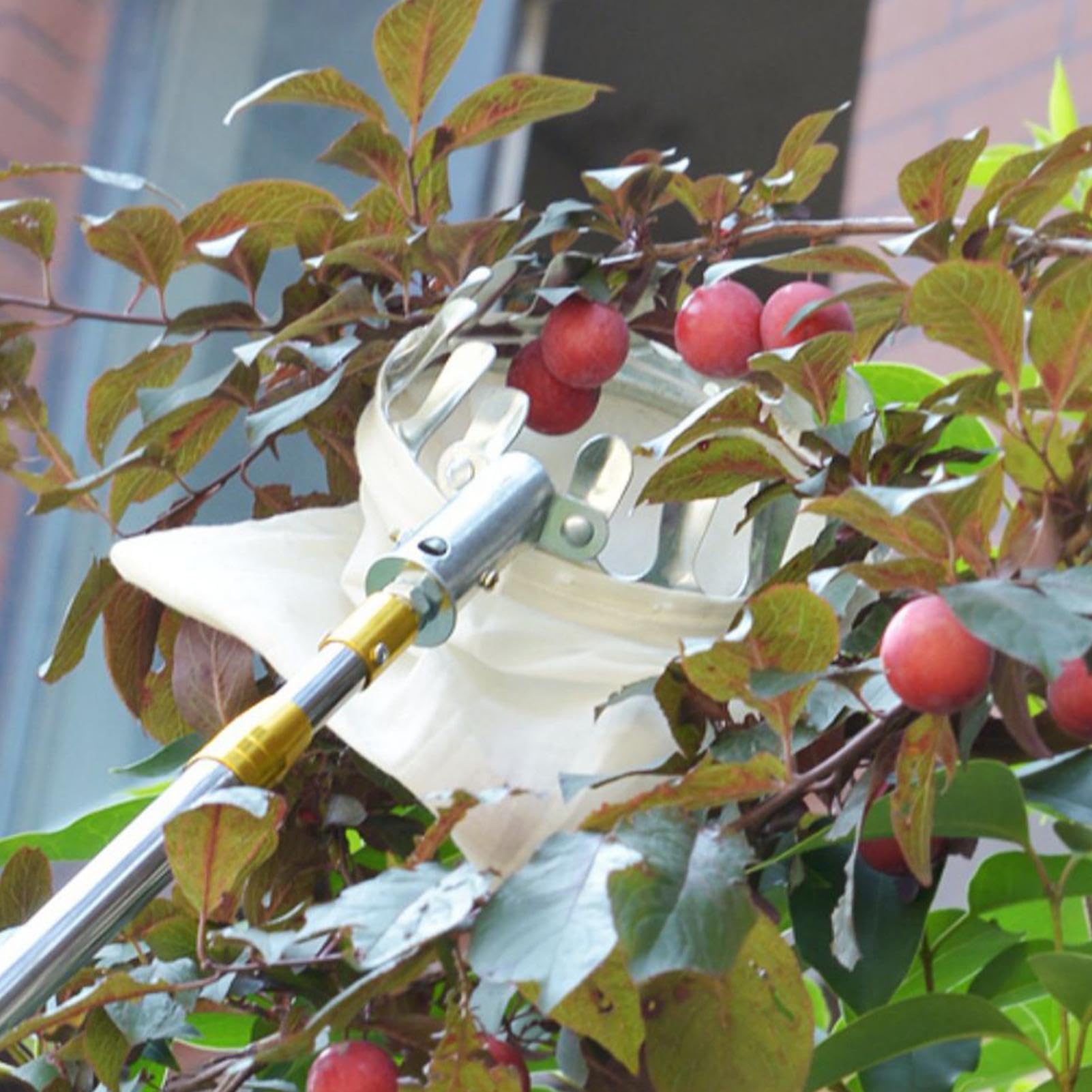 Obstpflückerkorb – Obstpflückerkopf, Obstpflücker-Werkzeuge, Edelstahl, Orangenpflücker-Werkzeug, Korb, tragbar, einfach zu bedienen, Getting, Obstfänger, Kirsche, Beere, Orange,