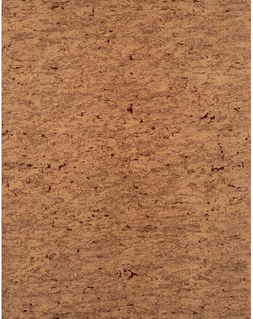 Amazon York Wallcoveringsモダン素朴なスエード調コルク壁紙 Sample 1 壁紙